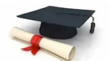 بوابة القاهرة التعليمية.. رابط نتائج الشهادة الإعدادية برقم الجلوس في عام 2026